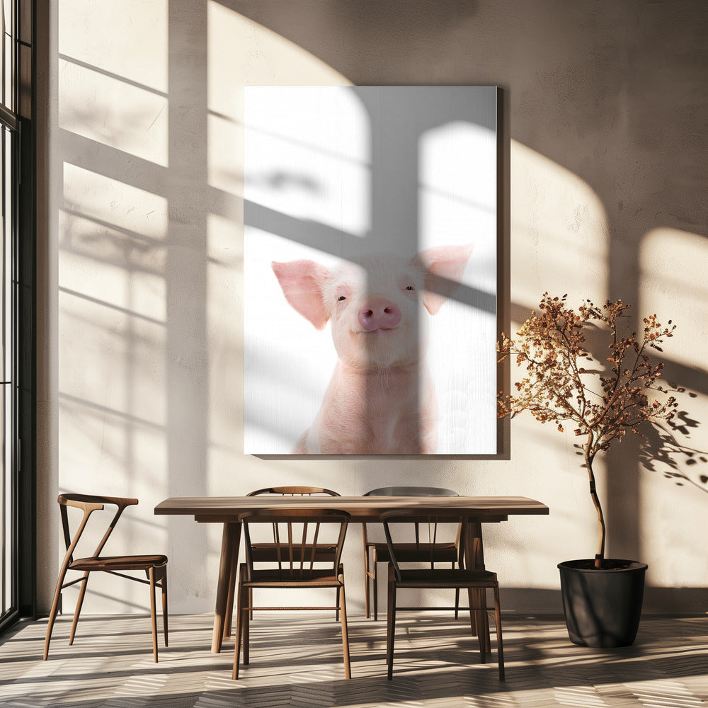Babyvarken | Canvas