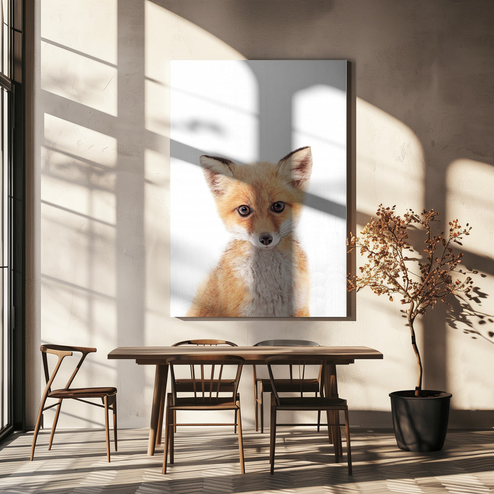 Baby Vos | Canvas