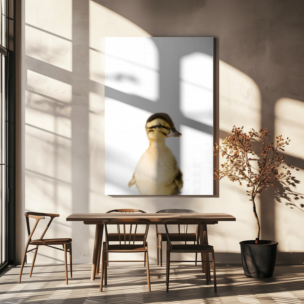Baby Eend | Canvas