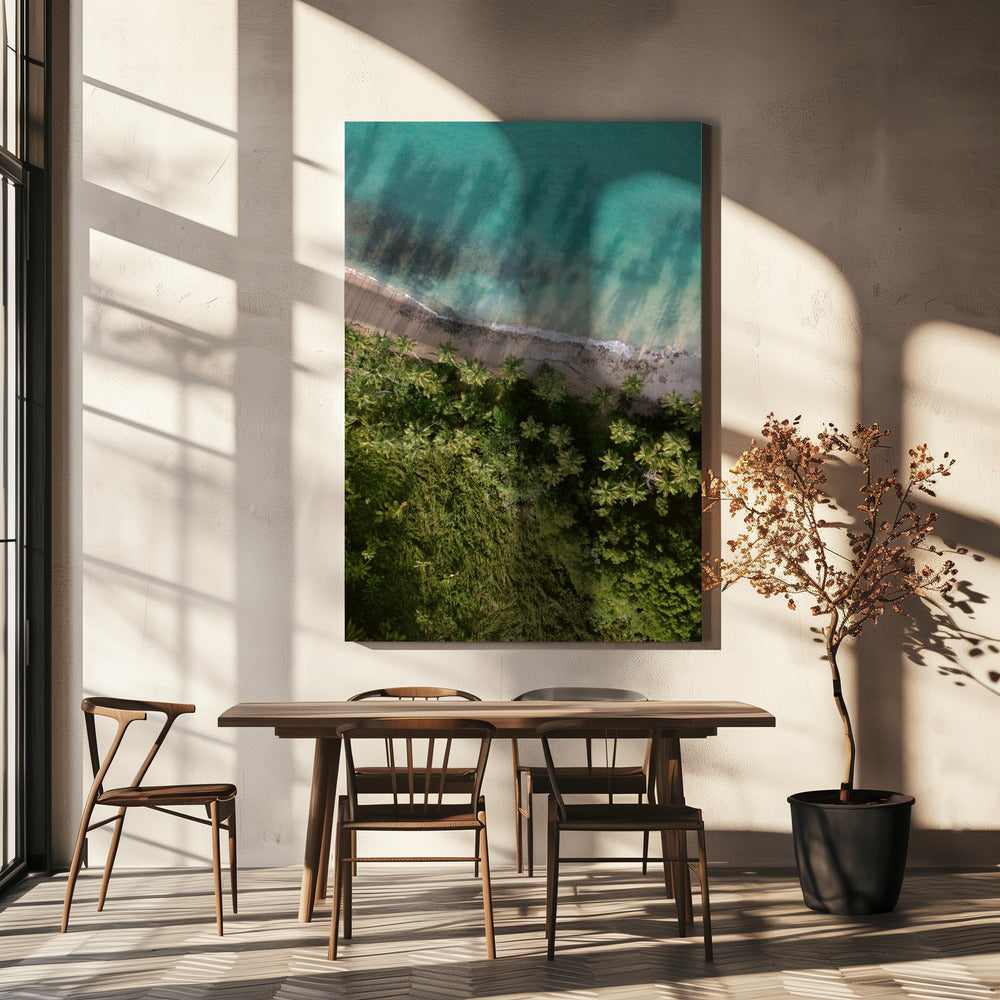 Palm Beach van bovenaf | Canvas