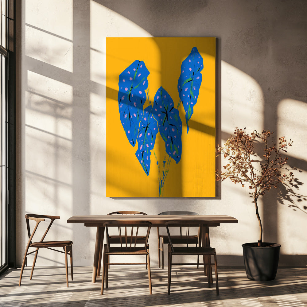 Begonia Maculata Blauw en Geel | Canvas