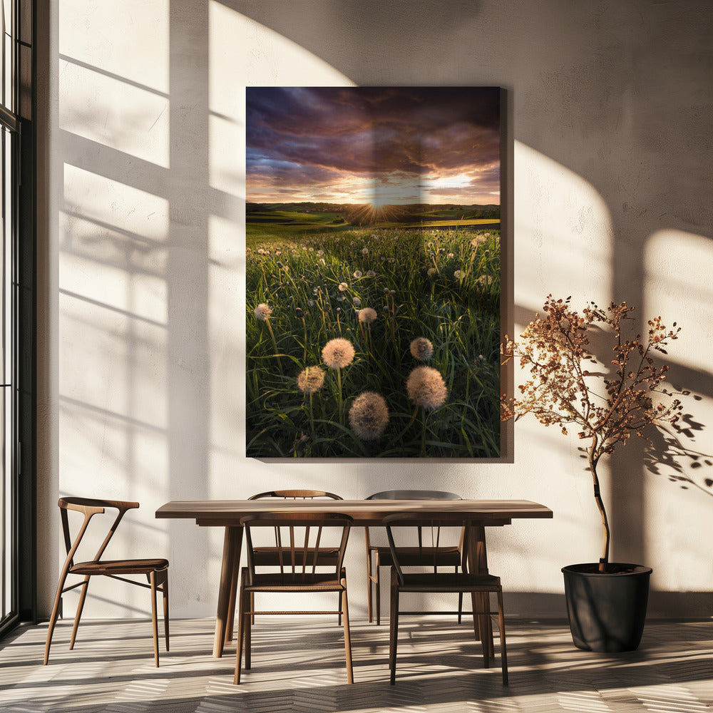 Klaprooswereld | Canvas