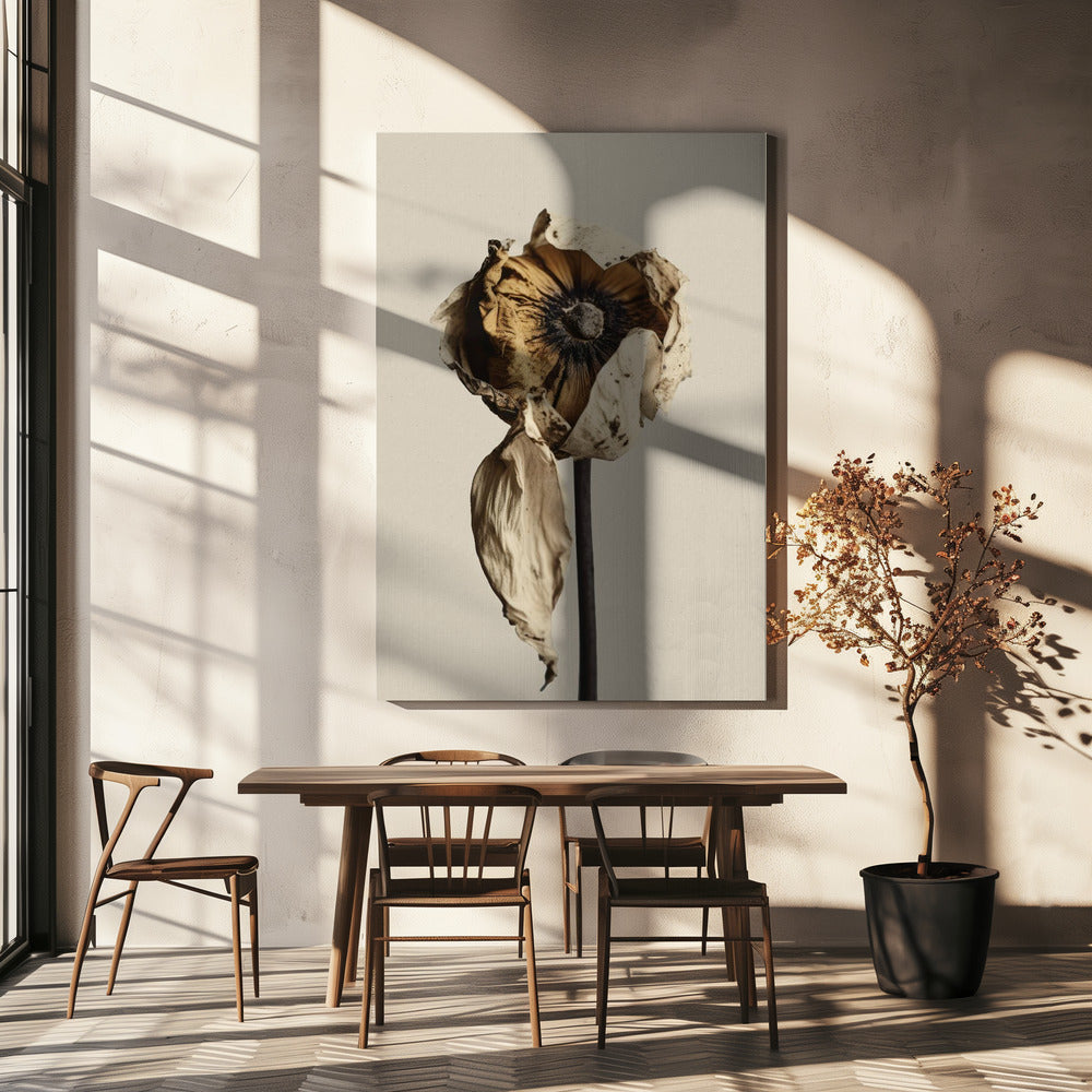 Vervagende elegantie | Canvas