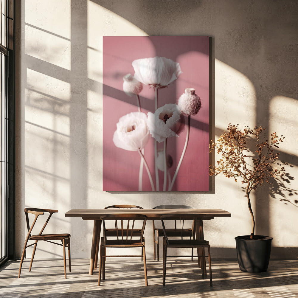 Zacht bloeiende klaprozen | Canvas