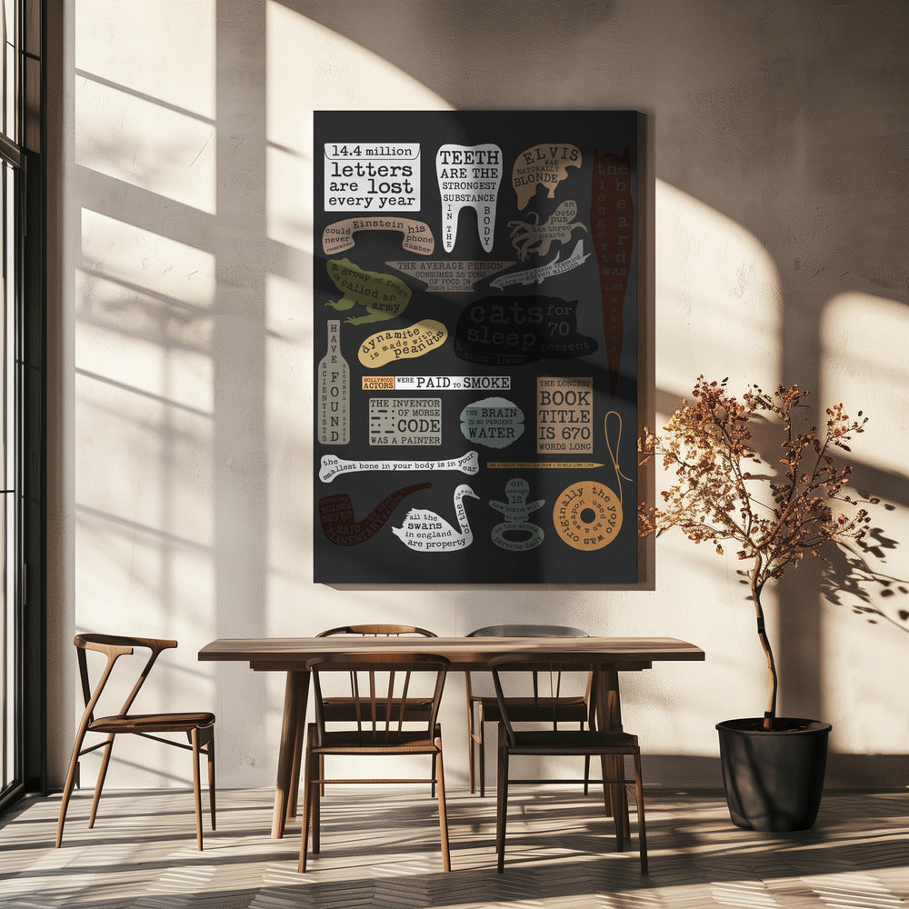 Nuttige feiten | Canvas