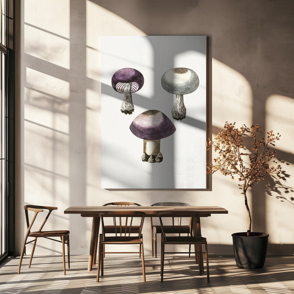 Handdauw Violet Webcap Paddenstoel | Canvas