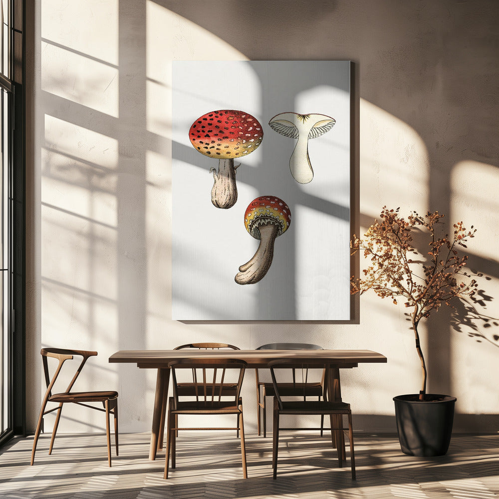 Handgetekende vliegenzwam | Canvas
