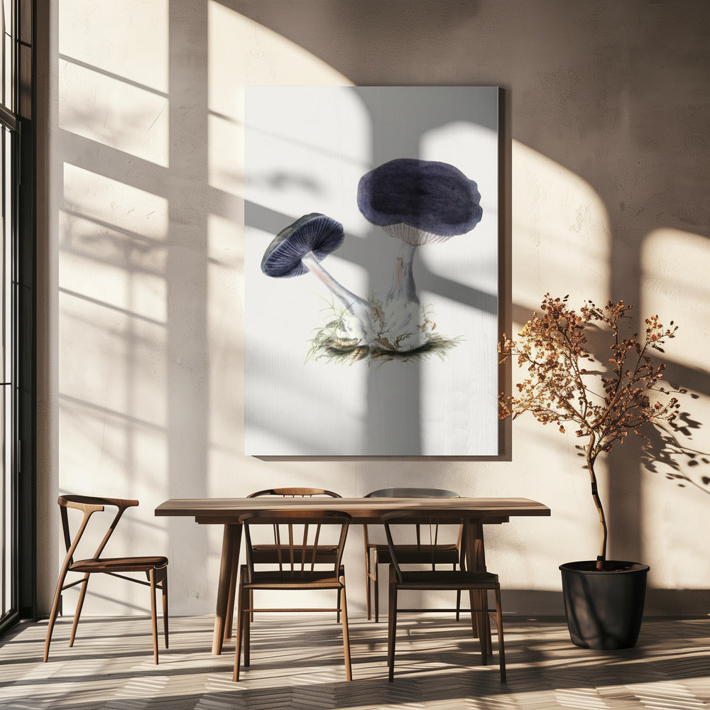 Vintage Violet Webcap Paddenstoel | Canvas