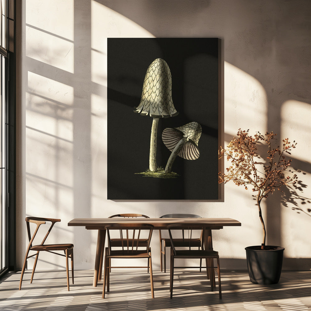 Vintage Inky Cap eetbare paddenstoel zwarte achtergrond | Canvas