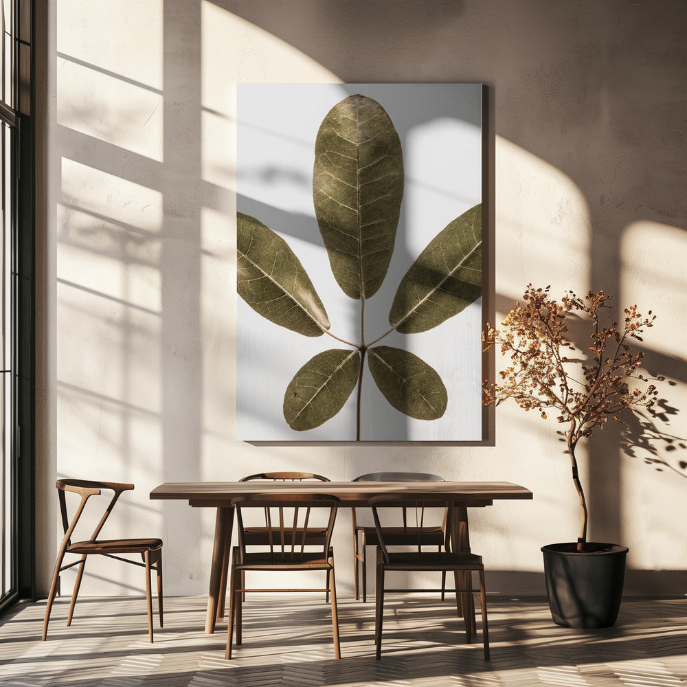 Vijfbladige harmonie | Canvas
