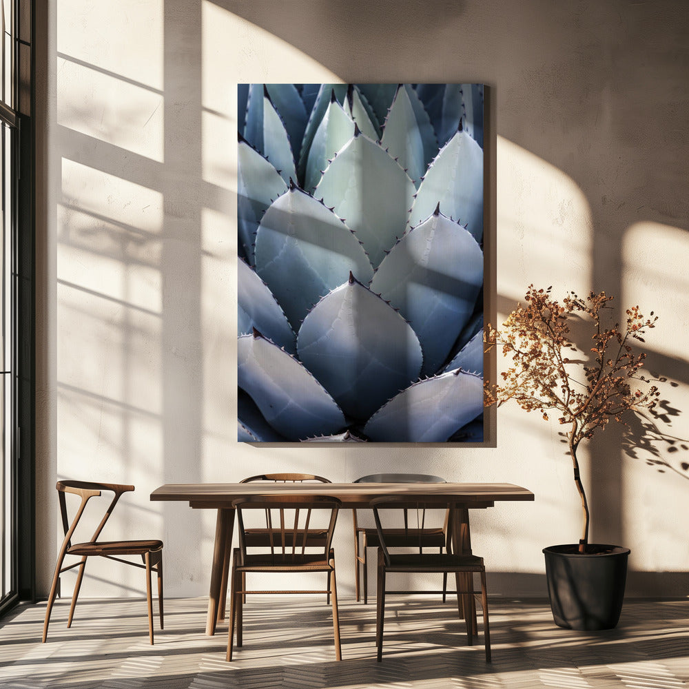 Agave Geometrie | Canvas