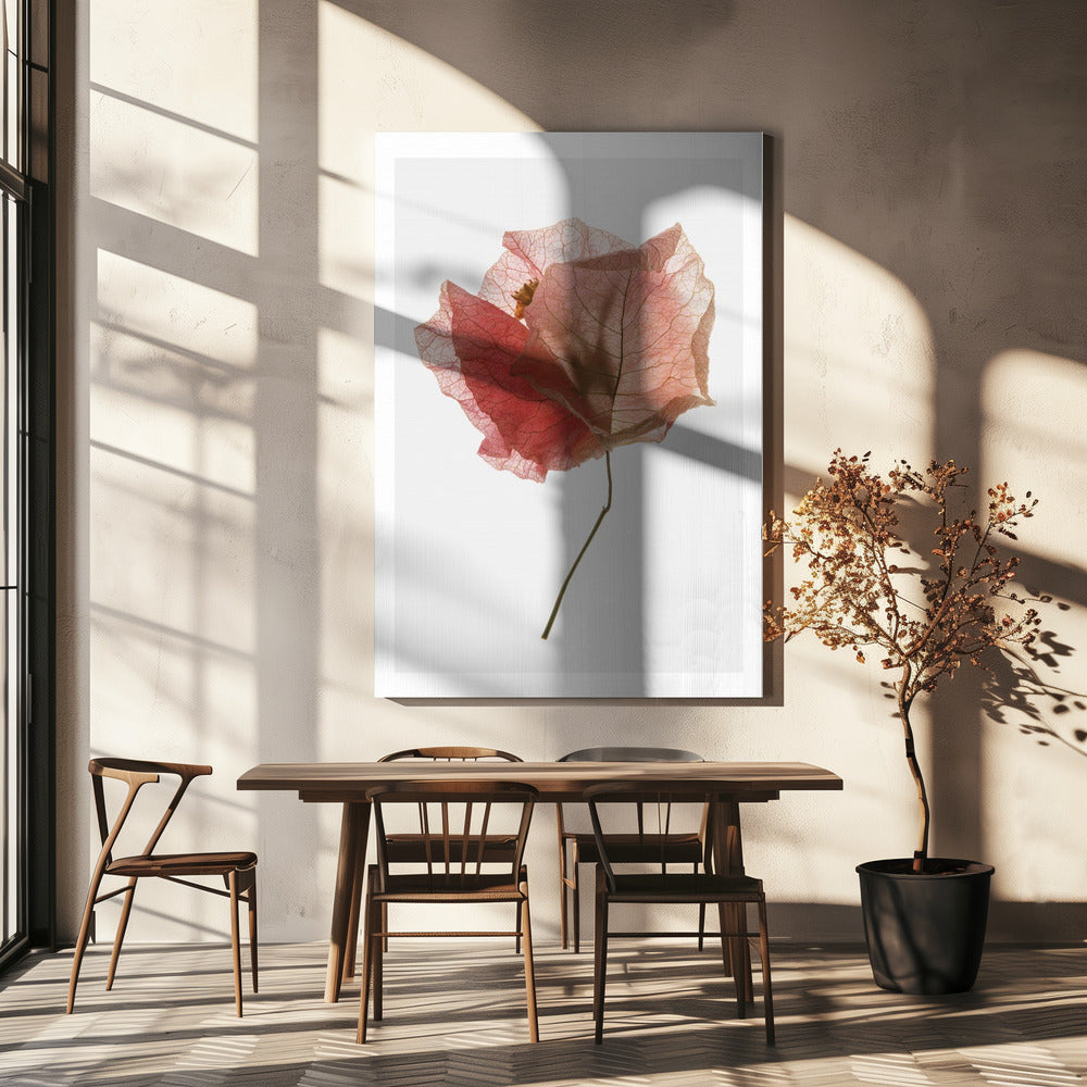 Bloemblaadjesfluistering | Canvas