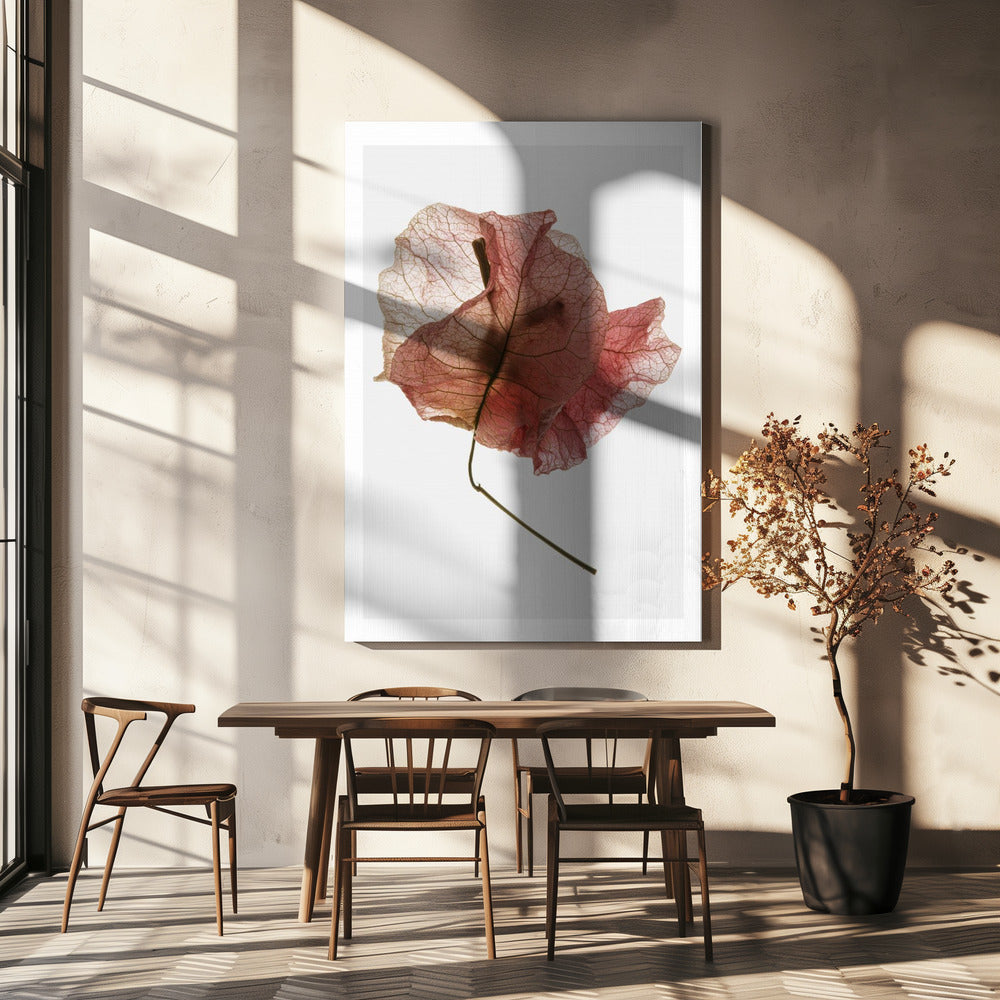 Delicate Bloemblaadjesaders | Canvas