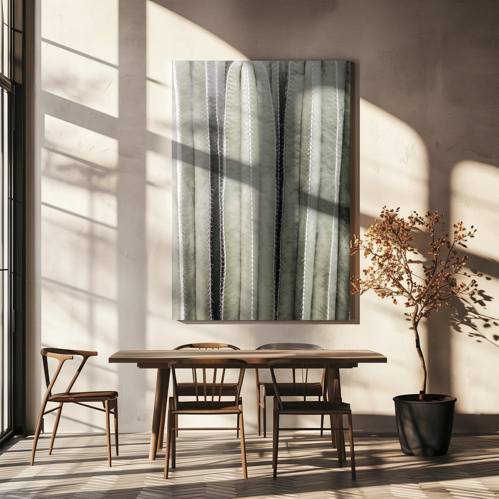 Cactussymfonie | Canvas