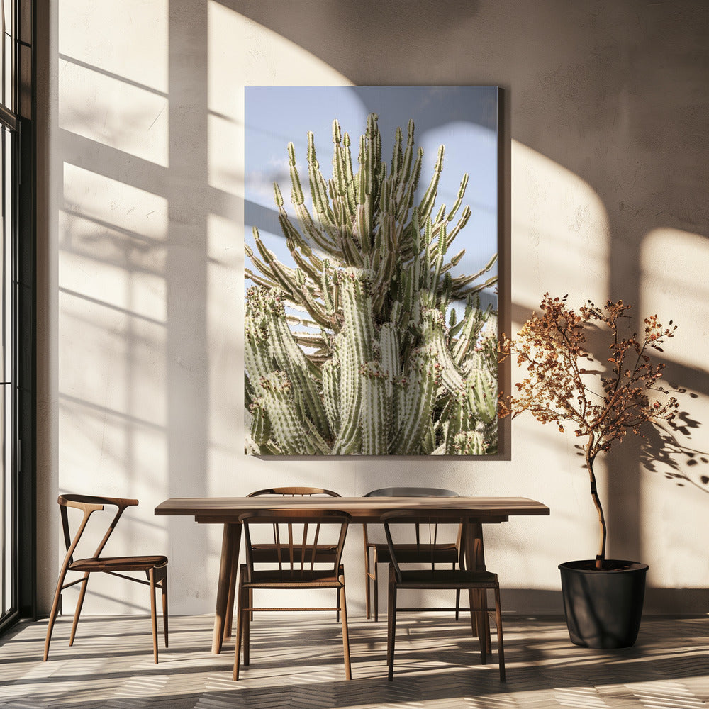 Cactussymfonie | Canvas