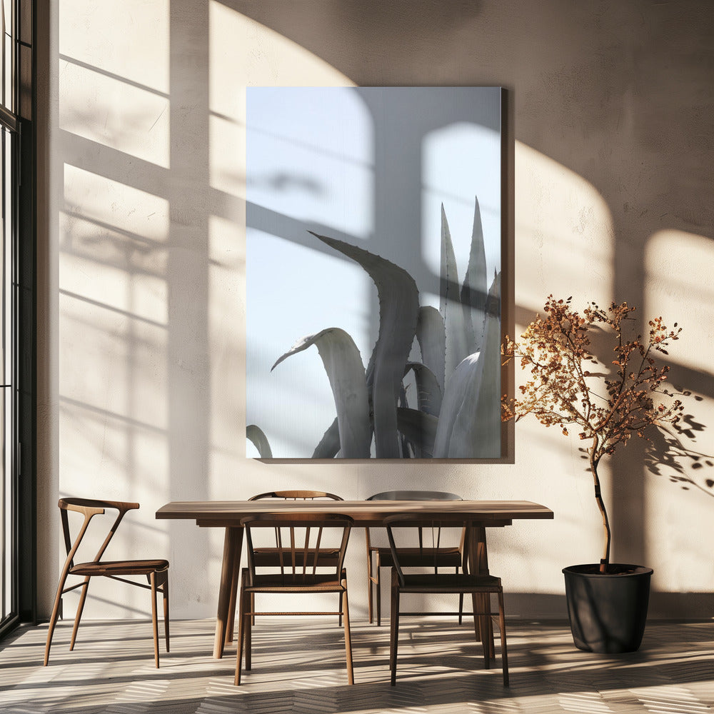 Azuurblauwe Agave Dromen | Canvas
