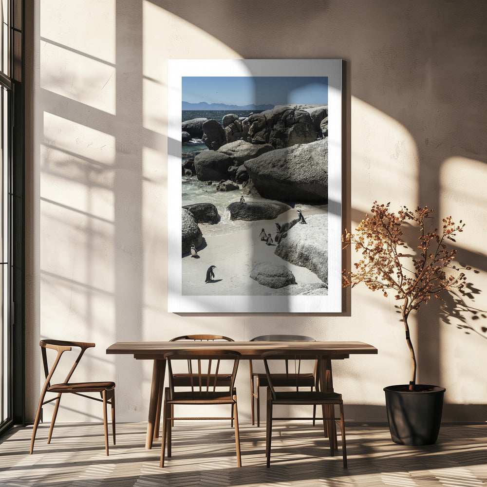 Kustwandeling van pinguïns | Canvas