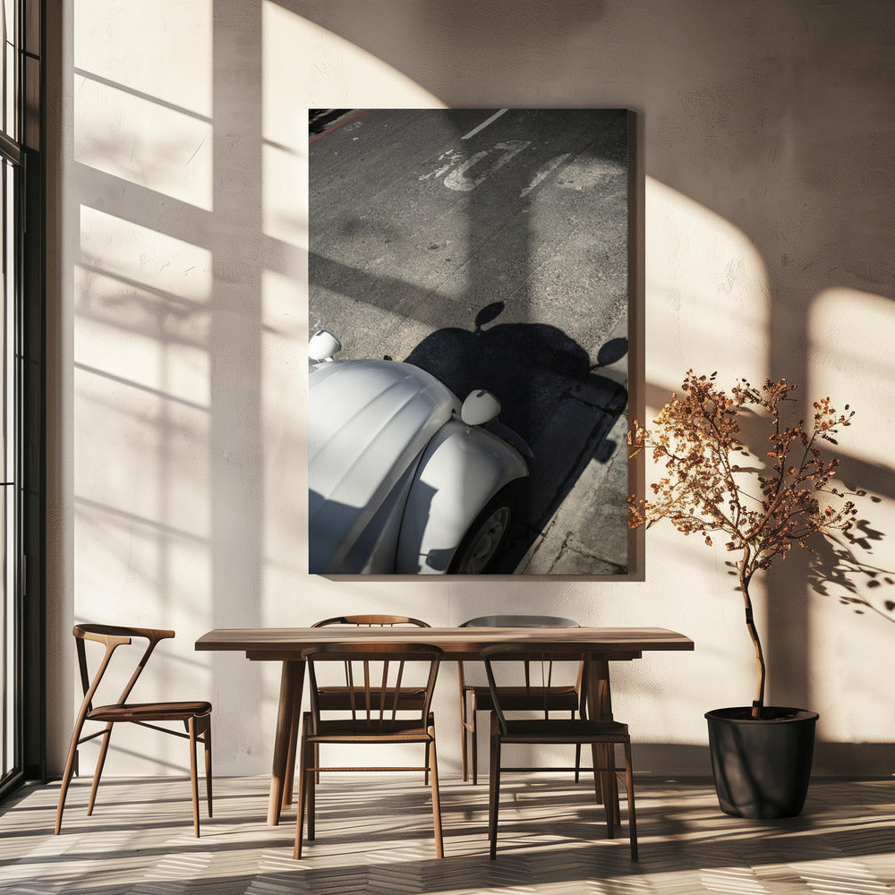 Klassieke Curve Schaduwen | Canvas