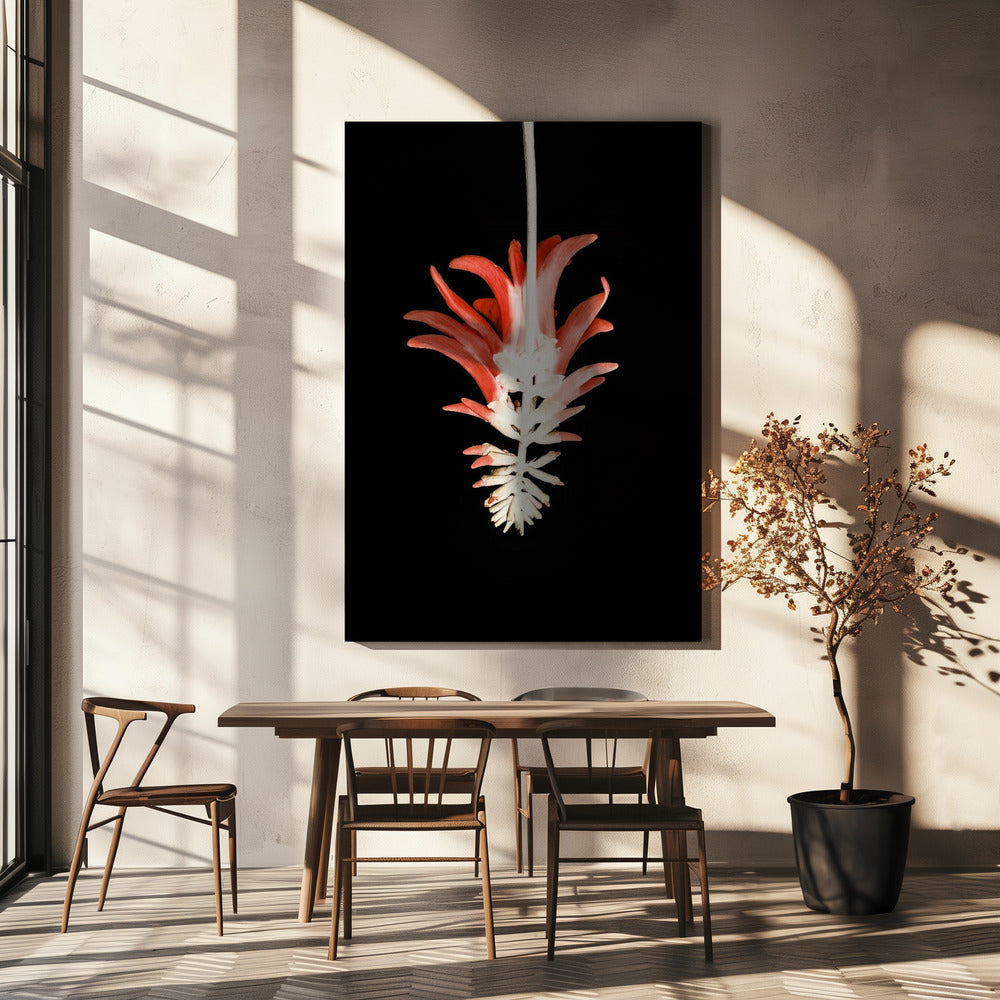 Petal Skeleton Fusion | Canvas