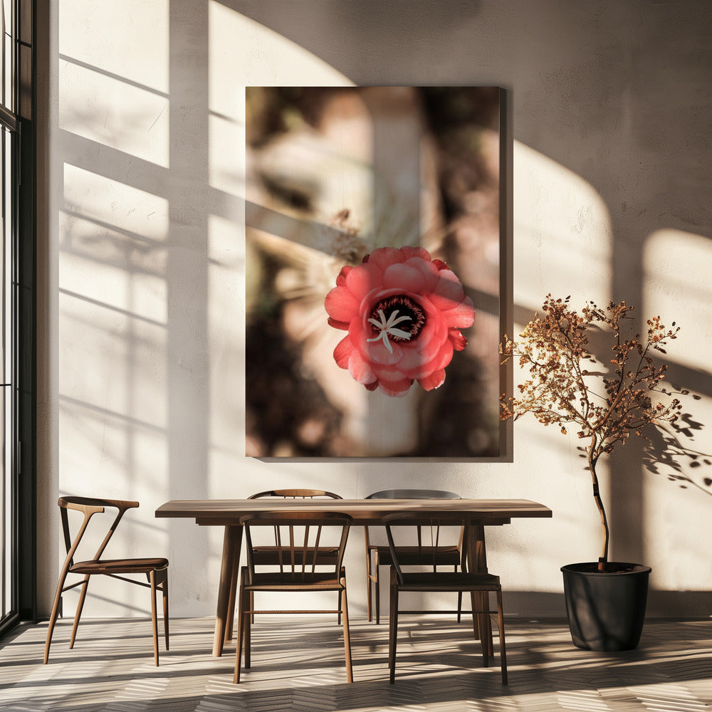 Woestijnbloei Dans | Canvas