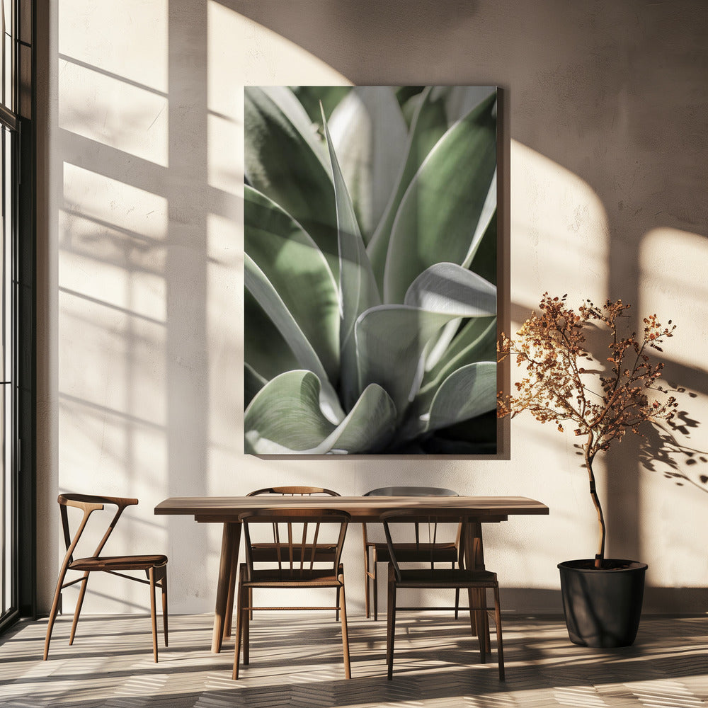 Agave Fluister | Canvas