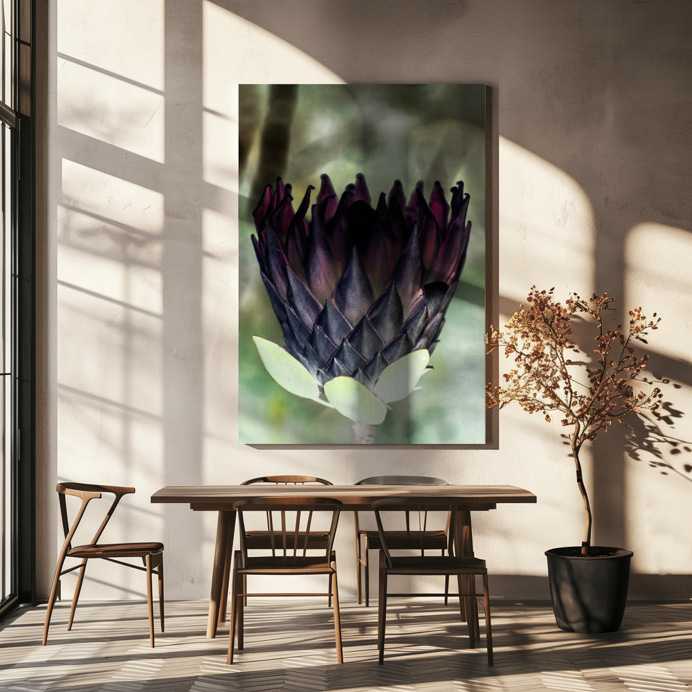 Schaduwrijke Bloesem | Canvas