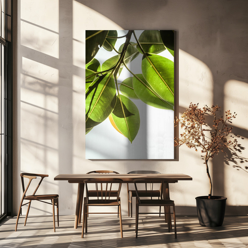 Zonovergoten bladeren | Canvas
