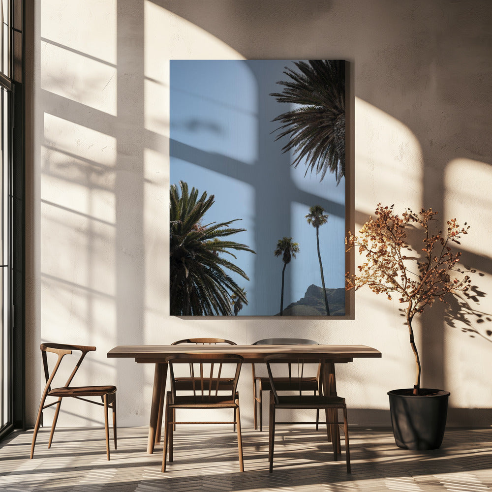 Zonnig Palm Heights | Canvas