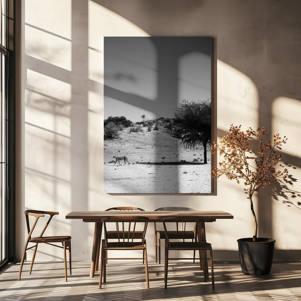 De eenzaamheid van de cheeta | Canvas