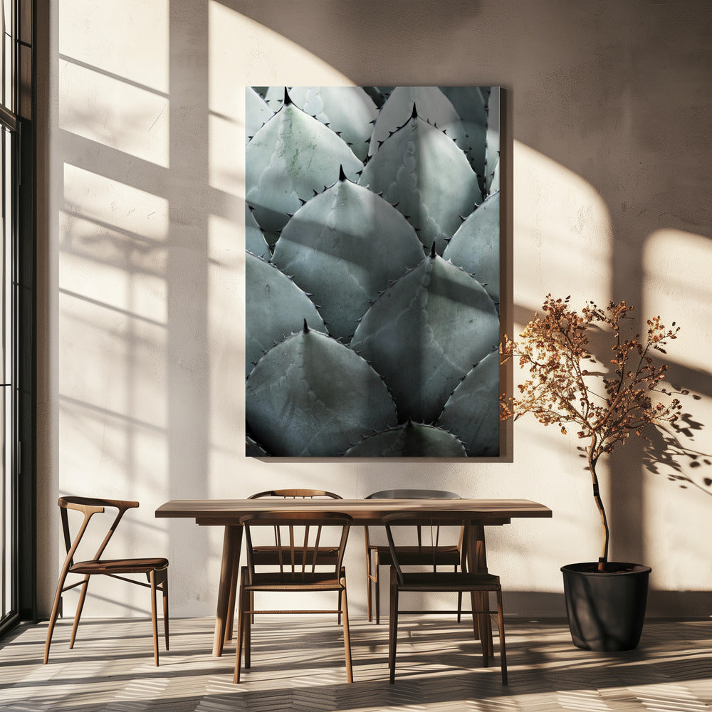 Agave Symmetrie | Canvas