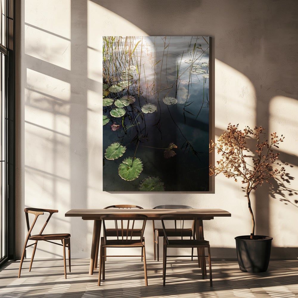 Lily's rustige dageraad | Canvas