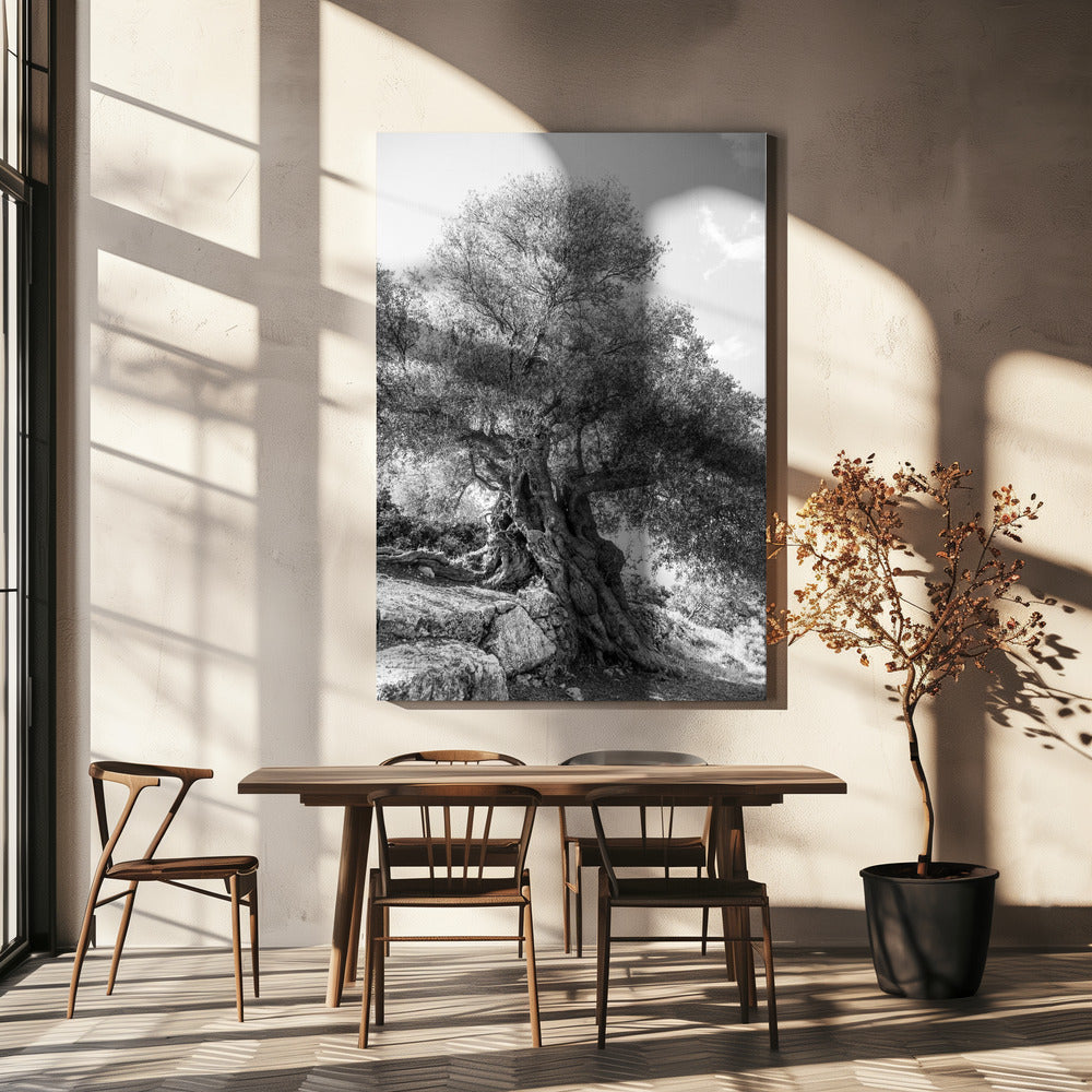 Oude Schildwacht | Canvas