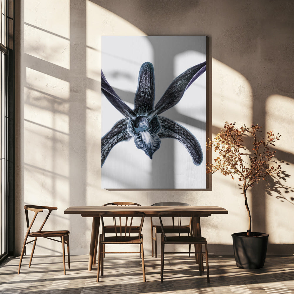 Middernachtbloesem | Canvas