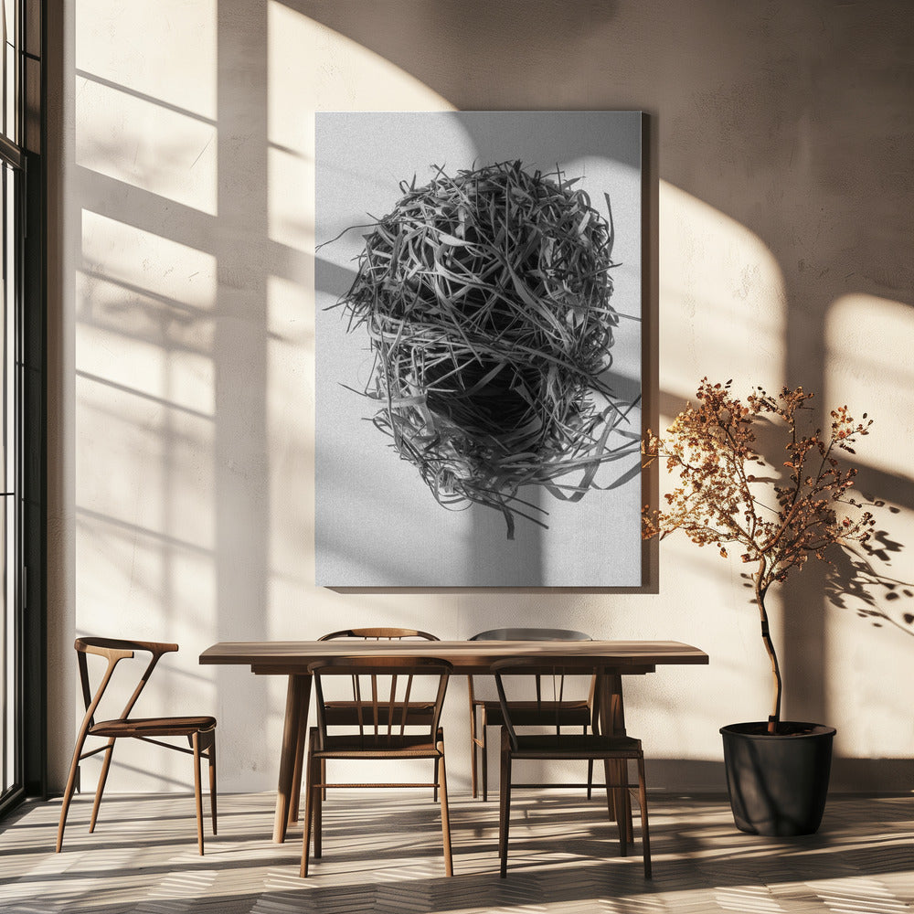 Weavers Nest | Canvas