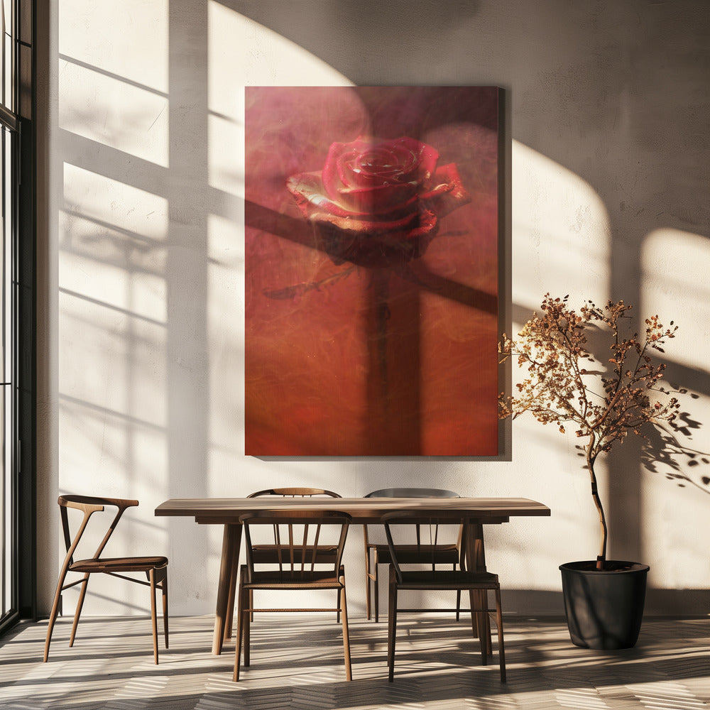 red rose and ink in water | Canvas