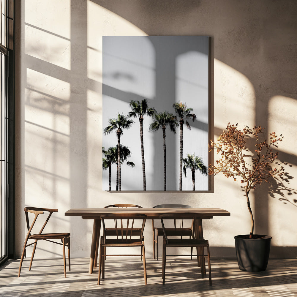 Palm Trees 5 | Canvas