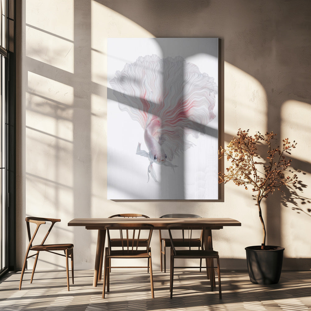 Wortel Betta | Canvas