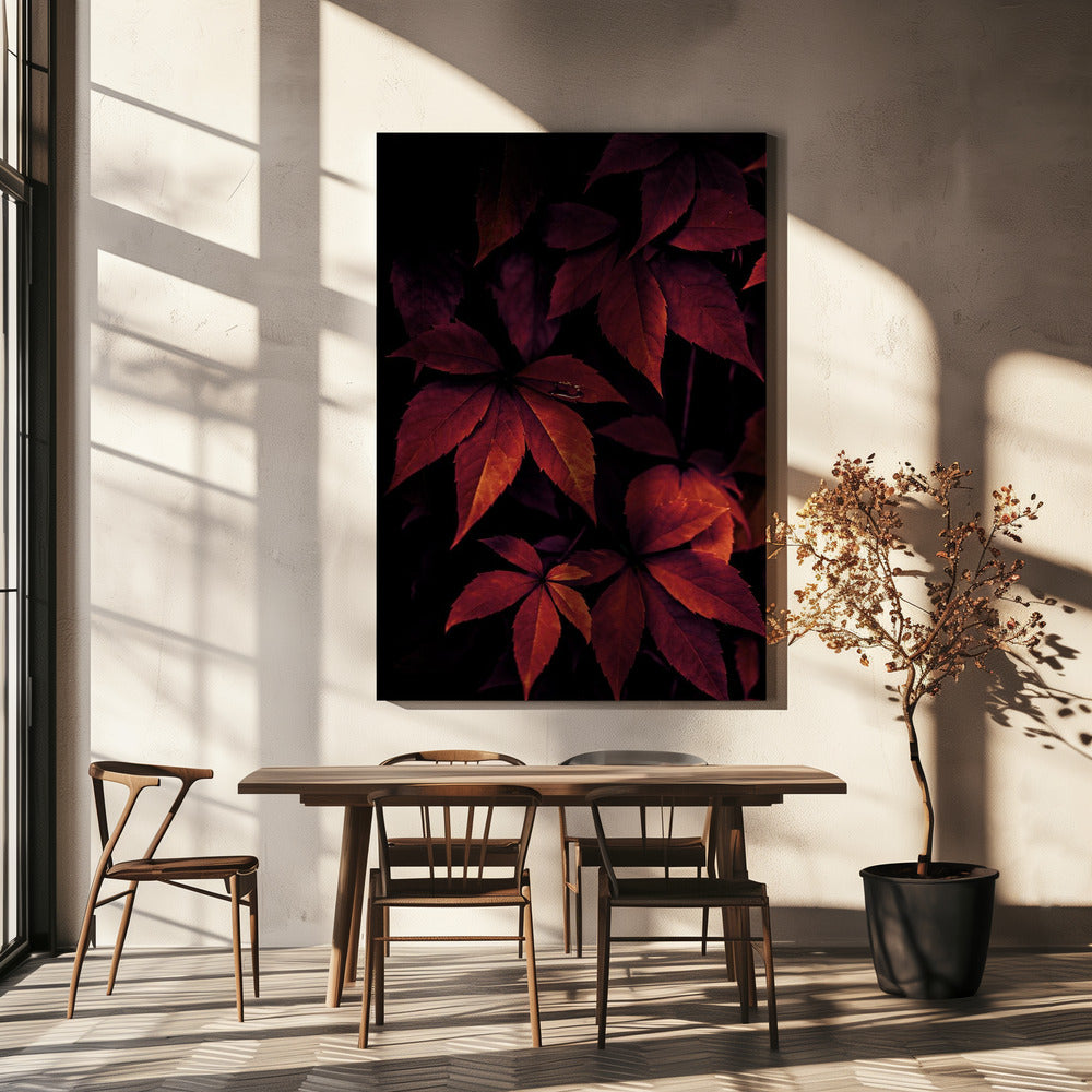 Dark Leaves 7X | Canvas