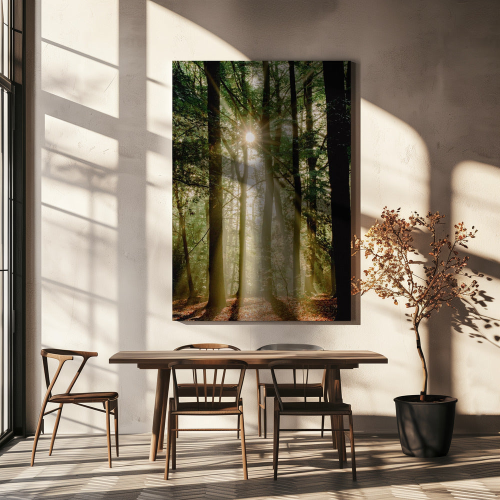 Zonnestralen door het bos | Canvas