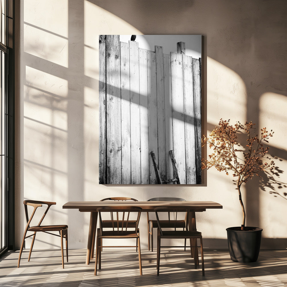 bevrijd | Canvas