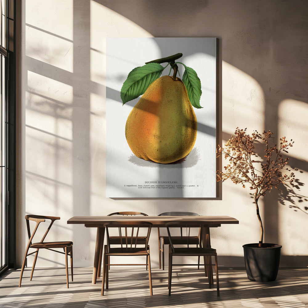 Hertogin D'angouleme perenlithografie | Canvas
