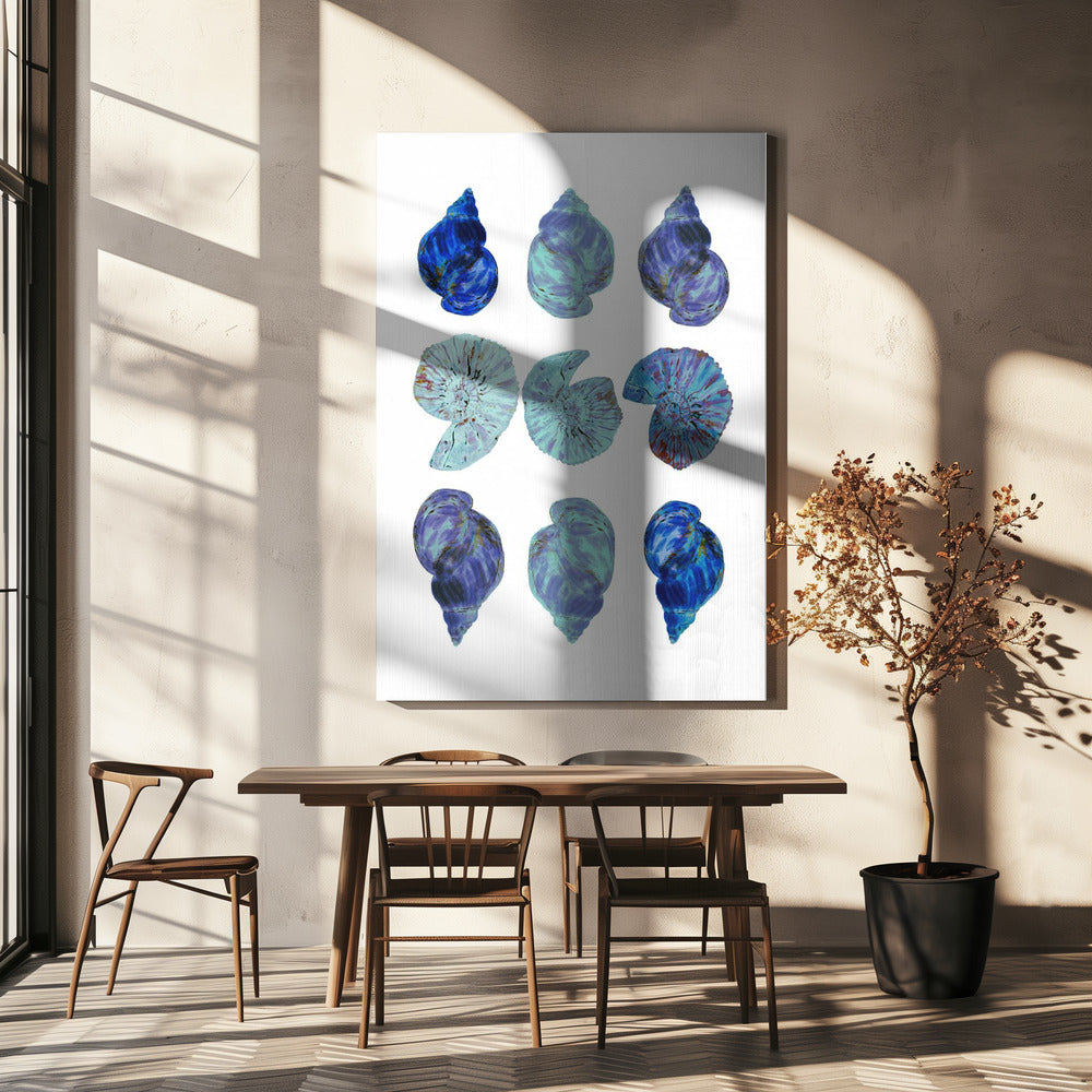 Blue Sea Shells Poster | Canvas