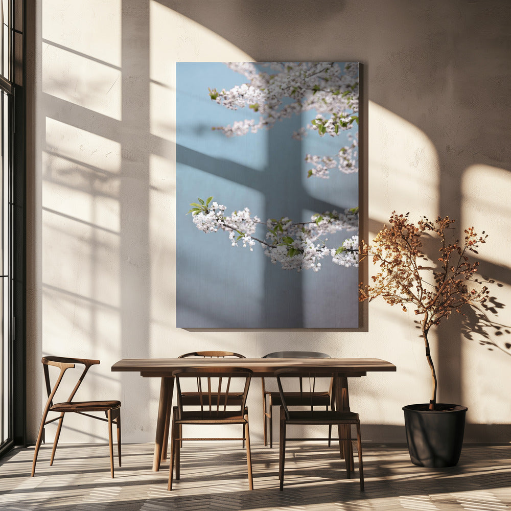 Kleurrijke Lente 14 | Canvas
