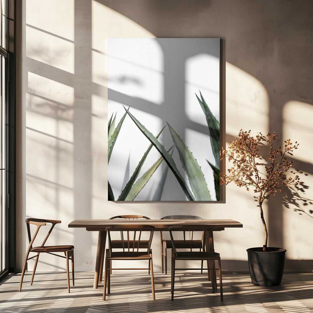Cactus 7 | Canvas