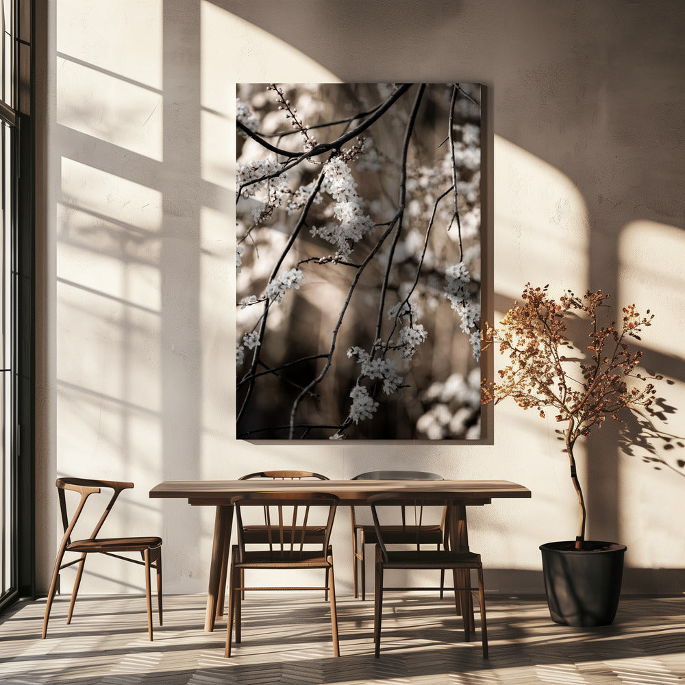 Lentetakken 1 | Canvas