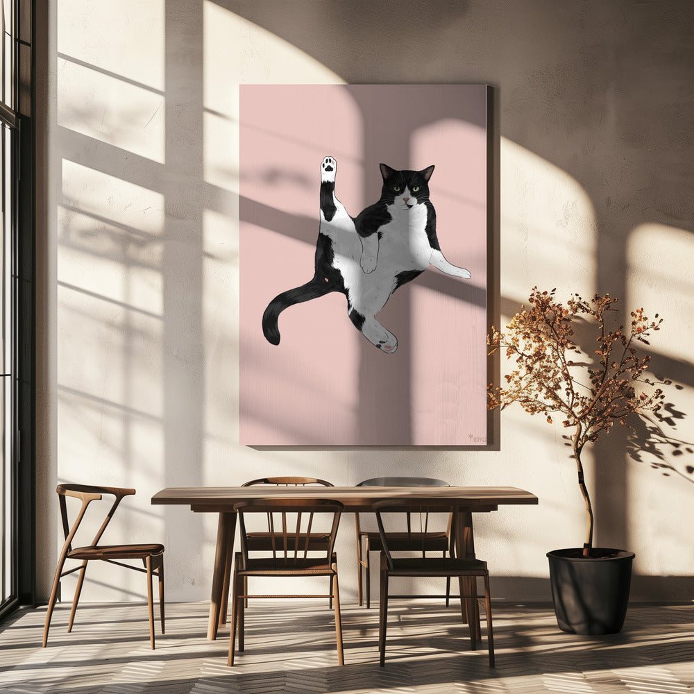 Kat in een grappige pose | Canvas