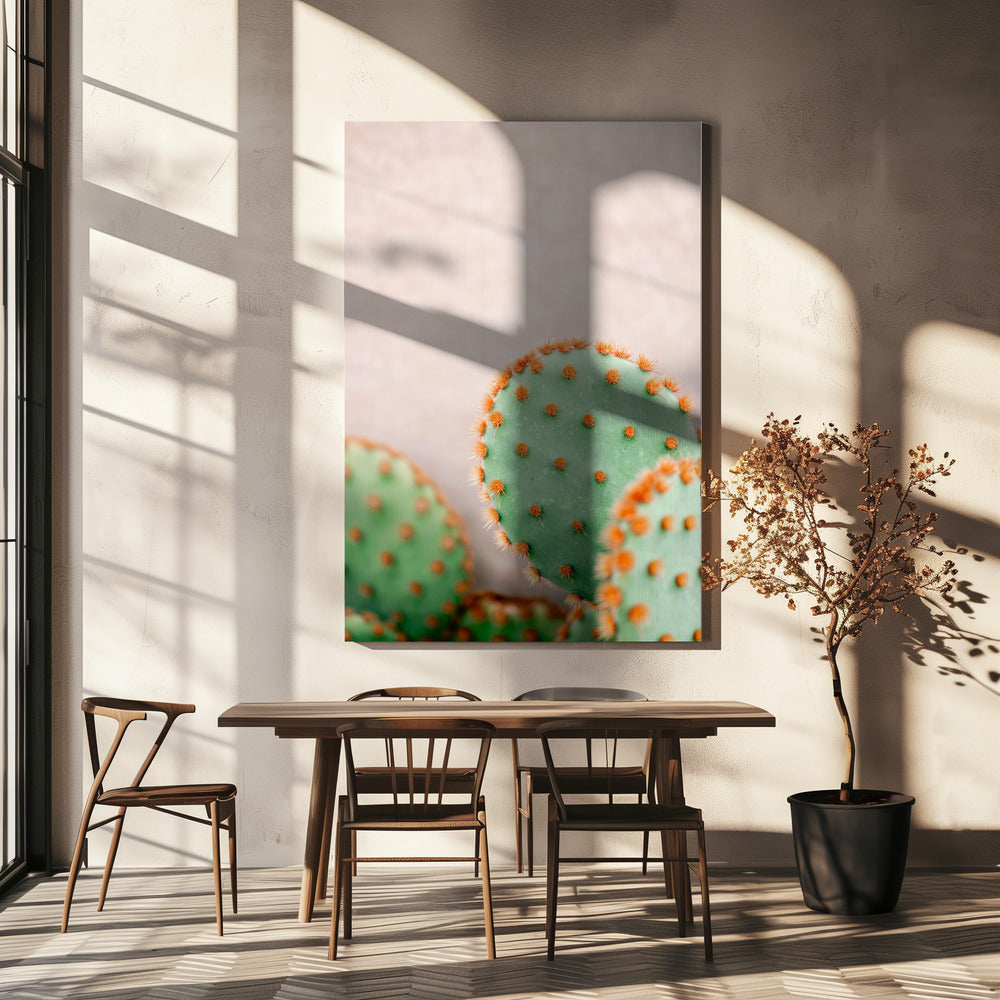 Cactussen Pasteltinten | Canvas