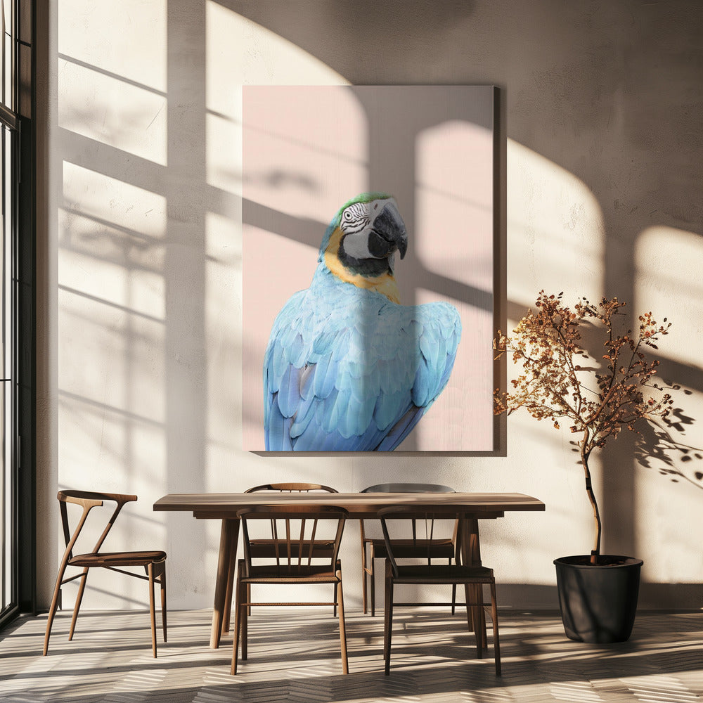 Blauwe Ara | Canvas