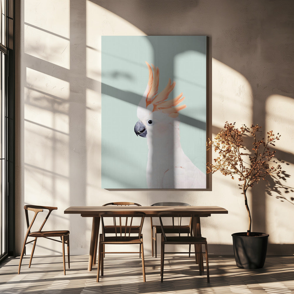 Kaketoe op Mint | Canvas