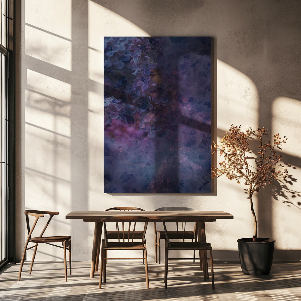 Lente #13.png | Canvas